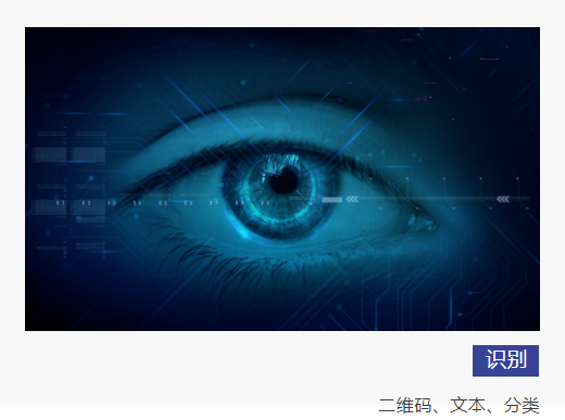 技術拓展商業(yè)邊界 博杰AI視覺算法平臺驚艷亮相